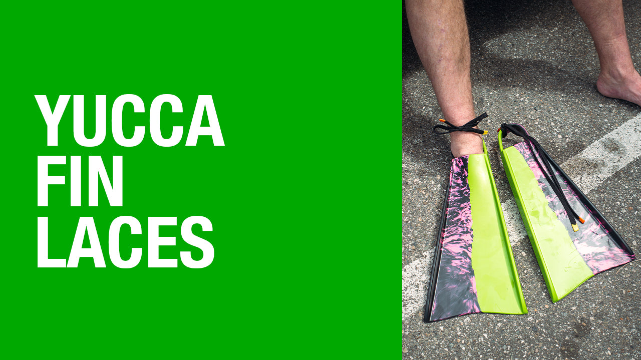 WHY YUCCA FIN LACES?