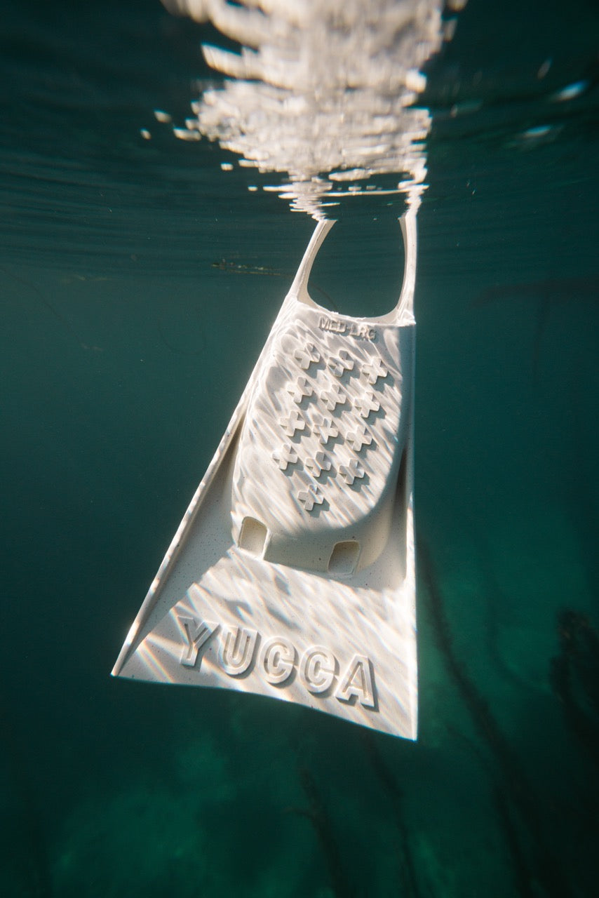 The Ultimate Guide to Choosing Swim Fins: Pool, Lap, and Ocean