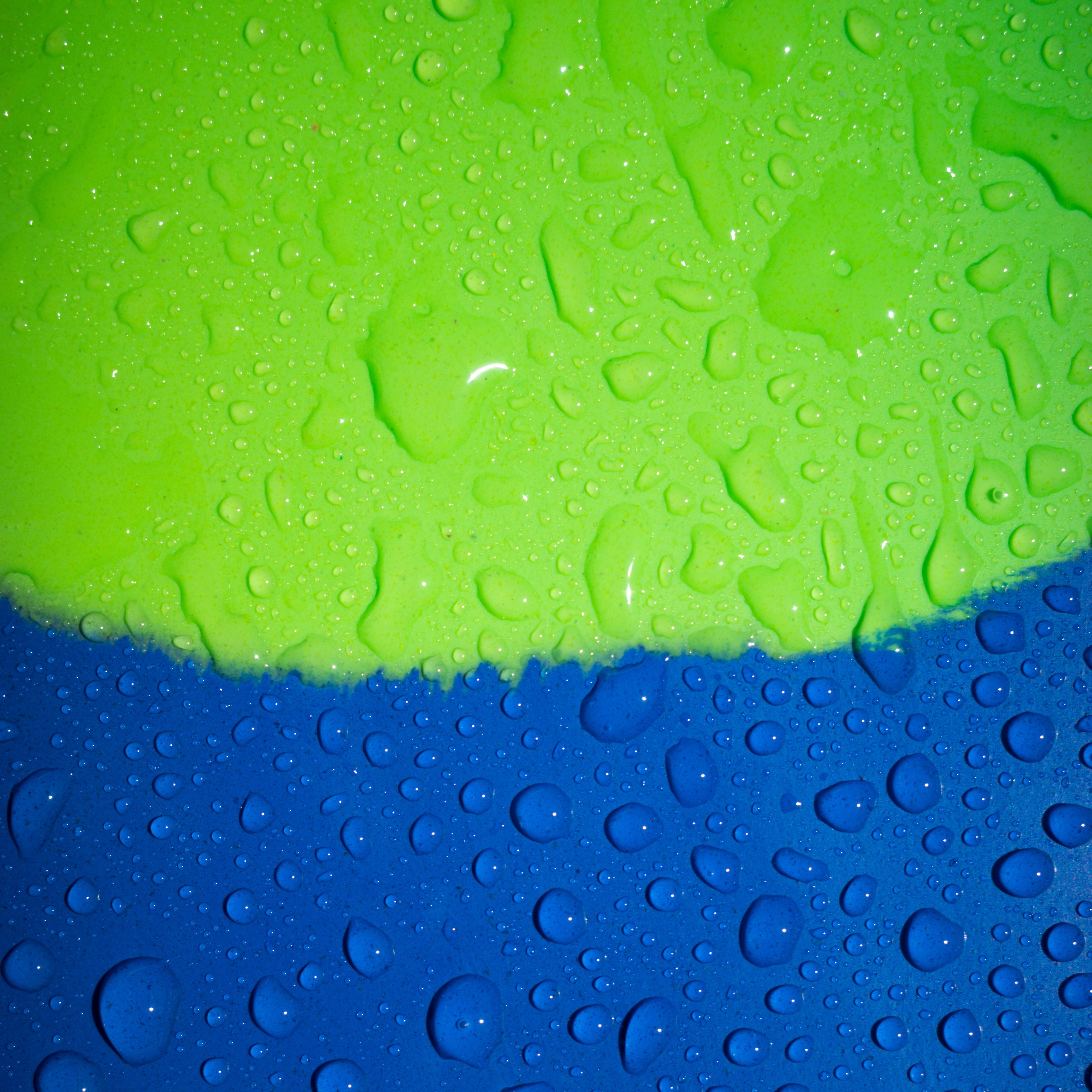 Yucca Sargasso Short Blade Fins - Ultra Soft Flex - Yucca Fins