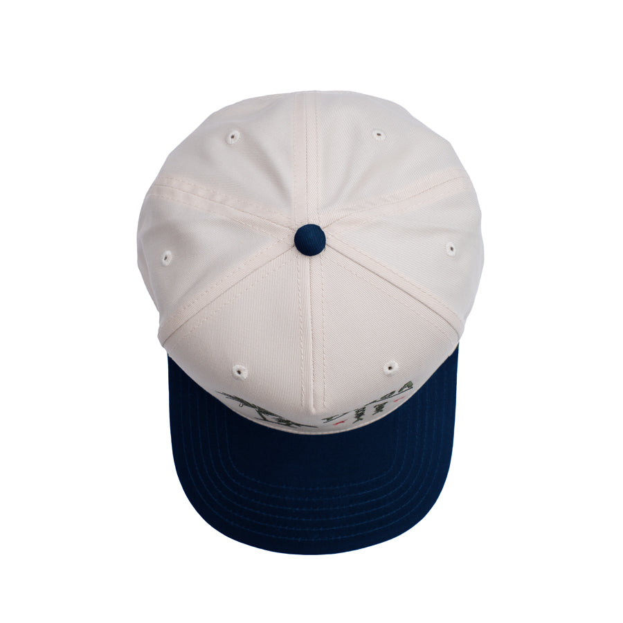 Intern Snapback Natural / Navy - Yucca Fins